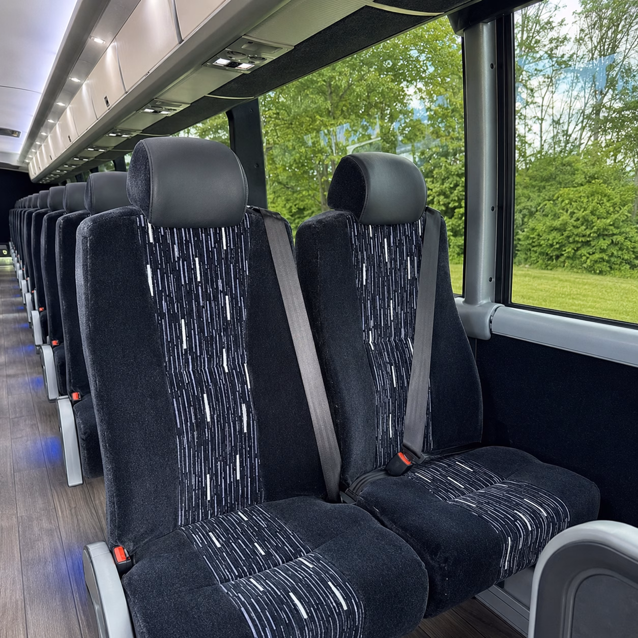 compare group transportation in parma in one search